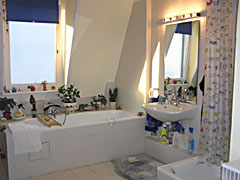 large bathroom with tupe and shower