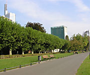 Frankfurt / Main's green locations