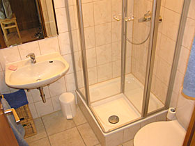bathroom with shower in the apartment in Freiburg 