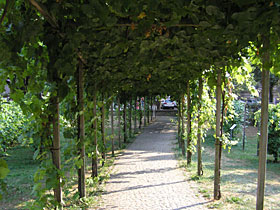 la ciudad antigua de Freiburg