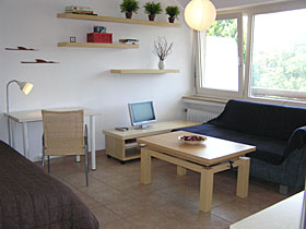Gezellige zithoek en slaapsofa voor een gast - appartement in Freiburg