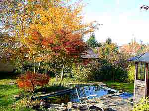 Garden with pond